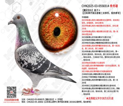 ħ����ʯֱ�ӡ�23��������ֲ������ؼ�����Ժ�ڼ���