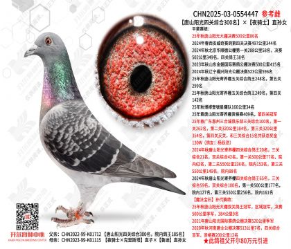 ��ɽ�����Ĺ��ۺ�300����ҹ��ʿֱ��Ů