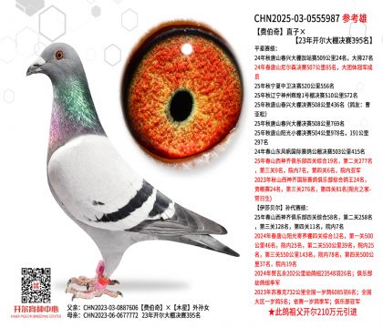 �Ѳ���ֱ�ӡ�23�꿪���������395��