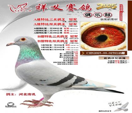 祥义俱乐部A+B组冠军