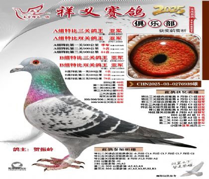 祥义俱乐部A+B组亚军