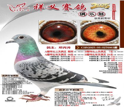 祥义俱乐部A+B组4名