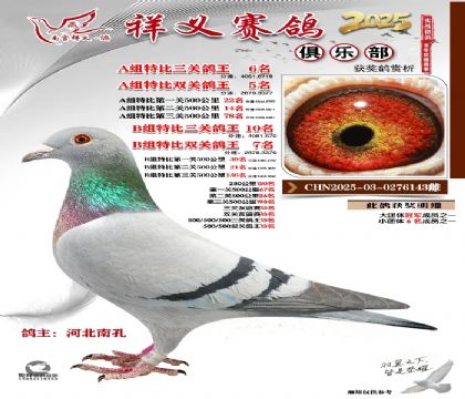 祥义俱乐部A+B组6名