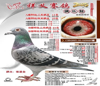 祥义俱乐部A+B组11名