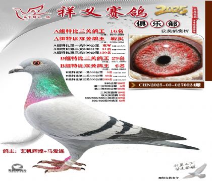 祥义俱乐部A+B组16名