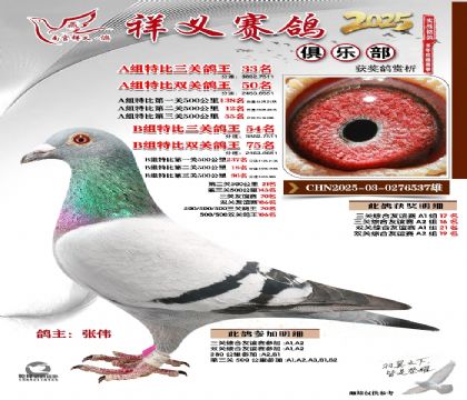 祥义俱乐部A+B组33名