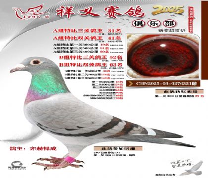 祥义俱乐部A+B组31名