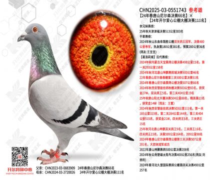 24����ɽ���ɭ����66����24�꿪���������111��