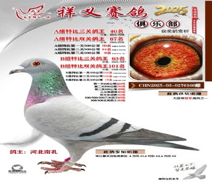 祥义俱乐部A+B组40名