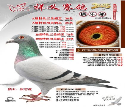 祥义俱乐部A+B组50名