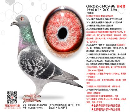 ����ֱ�ӡ��߷�ֱ��Ů