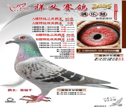 祥义俱乐部A+B组63名