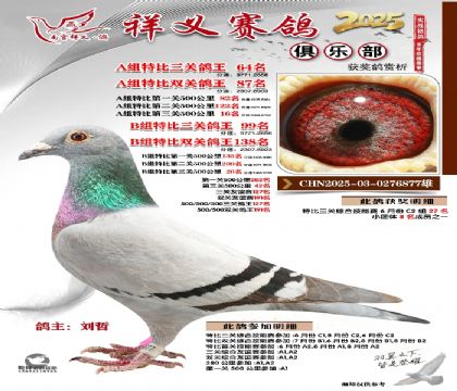 祥义俱乐部A+B组64名