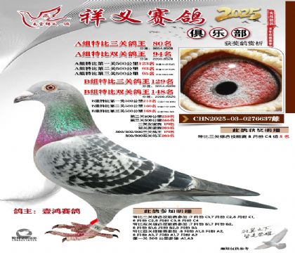 祥义俱乐部A+B组80名