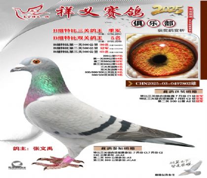 ������ֲ�B�鼾��