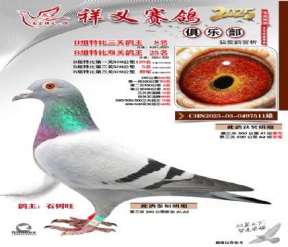 ������ֲ�B��8��