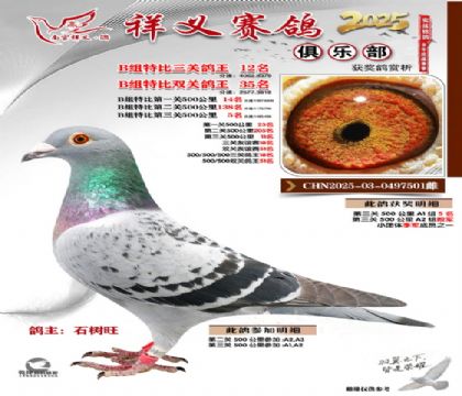 ������ֲ�B��12��