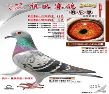 ������ֲ�B��11��