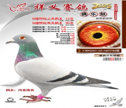 ������ֲ�B��13��