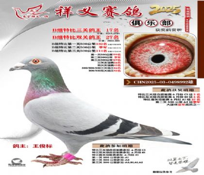 ������ֲ�B��17��