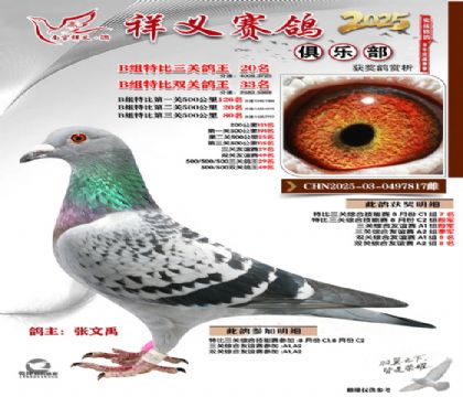 ������ֲ�B��20��