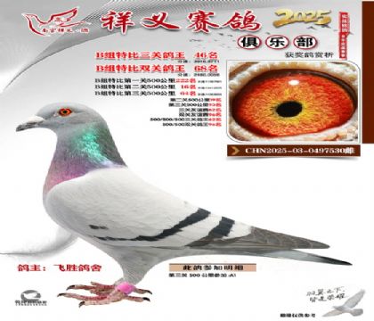 ������ֲ�B��46��