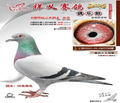 ������ֲ�B��30��