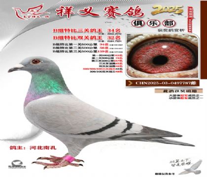 ������ֲ�B��34��