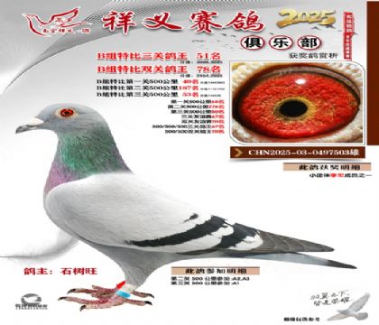 ������ֲ�B��51��