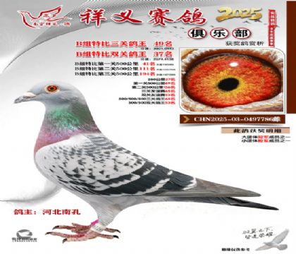 ������ֲ�B��49��