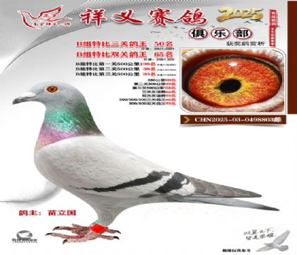 ������ֲ�B��50��