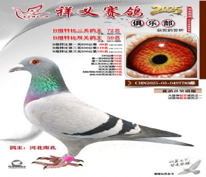 ������ֲ�B��72��