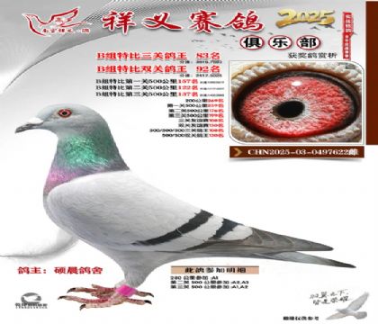 ������ֲ�B��83��