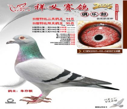 ������ֲ�B��94��