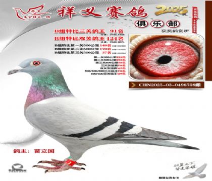 ������ֲ�B��91��