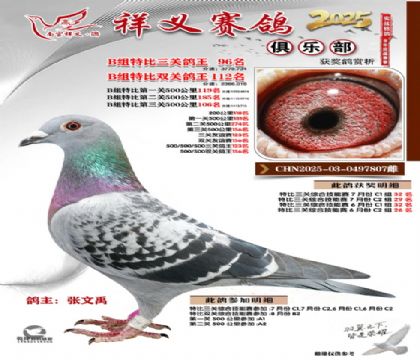 ������ֲ�B��96��