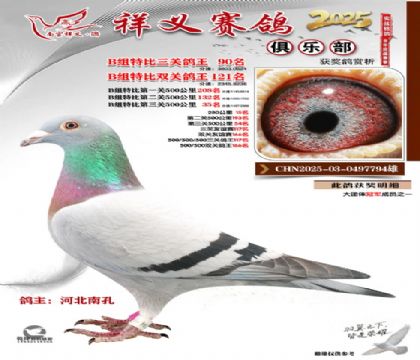 ������ֲ�B��90��