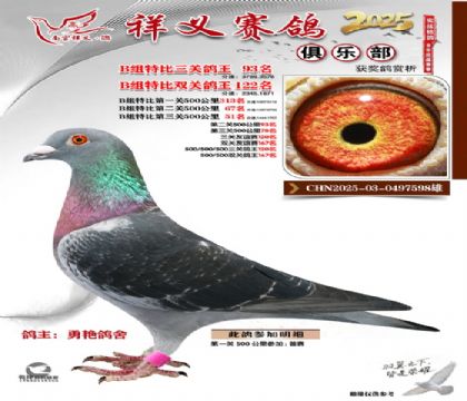 ������ֲ�B��93��