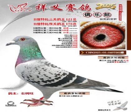 ������ֲ�B��121��