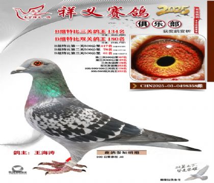 ������ֲ�B��134��