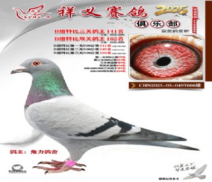 ������ֲ�B��141��