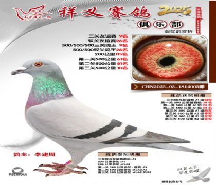 ������ֲ�����������9��