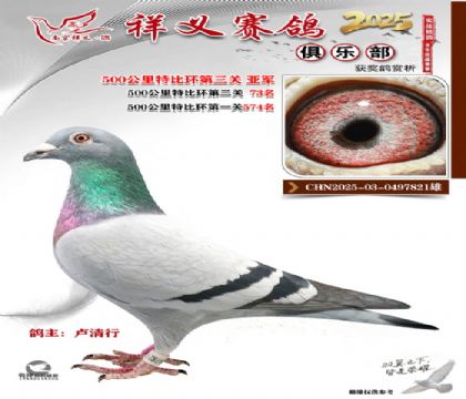 ������ֲ��������Ǿ�