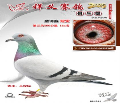 ������ֲ��������ھ�