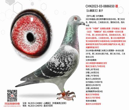 1����23-0886650