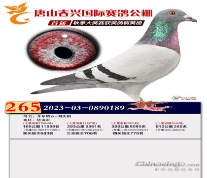 1����23-0890189