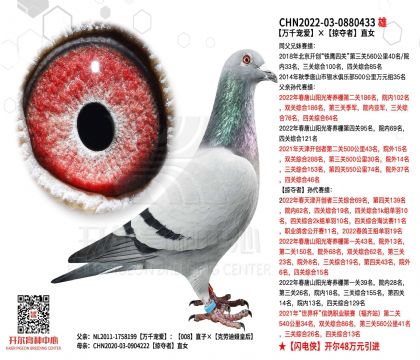 1����-0880433