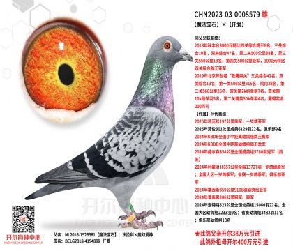 1����23-0008579