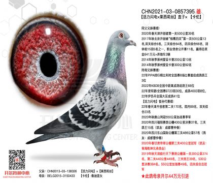 1����0857395