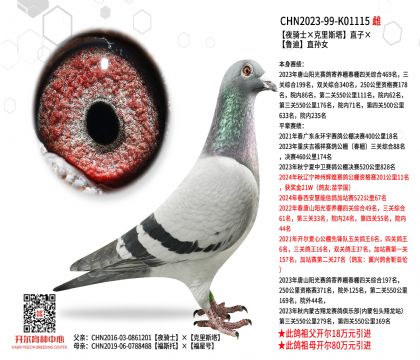 2ĸ��CHN2023-99-K01115